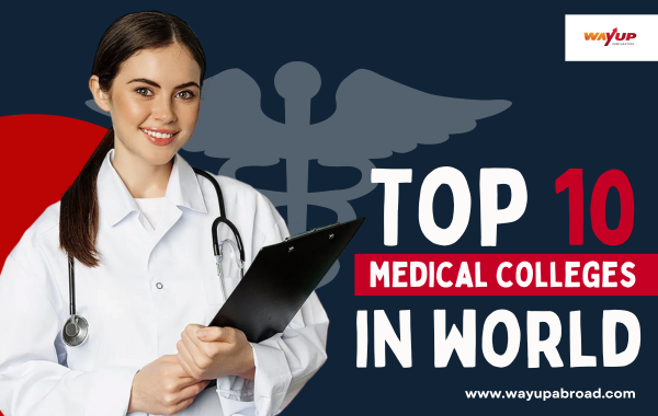 Top 10 Medical Colleges in World